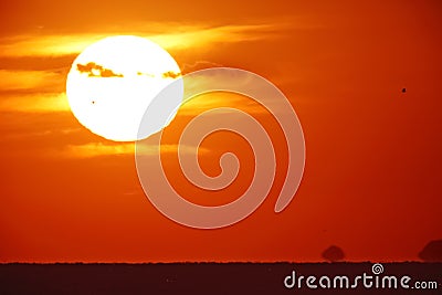 Bright big sun on the sky Stock Photo